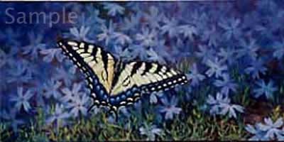 Garden Visitor - Swallowtail